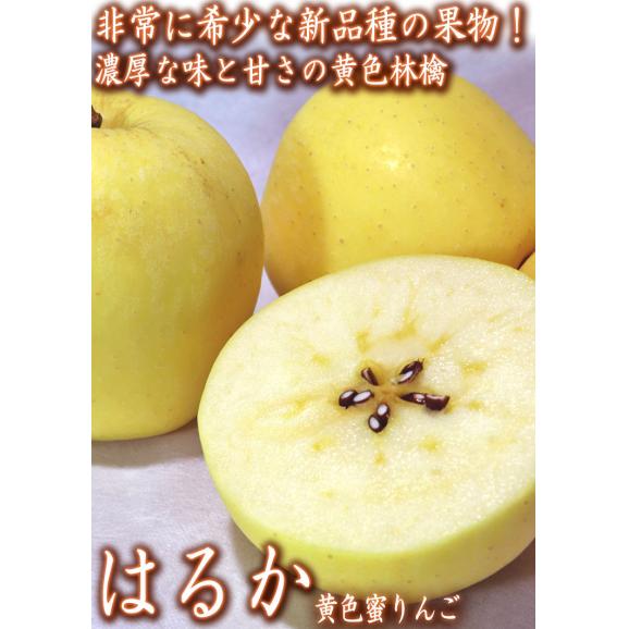 はるか 林檎 約5kg 15~21玉 岩手県産 優品 高い糖度と控えめな酸味!実測糖度17度超の蜜入り黄林檎02