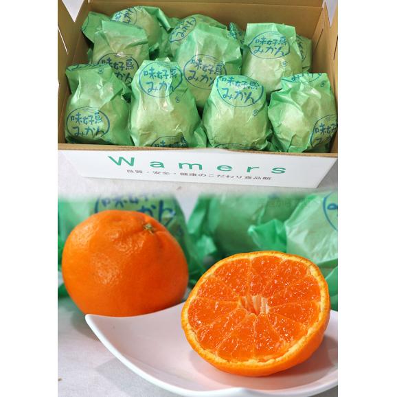 袋掛け完熟ミカン 約2.5kg L～3Lサイズ 長崎県産 贈答規格 JAながさき県央 光センサー選果で安定した味！樹上で熟成した濃厚な甘さの蜜柑02