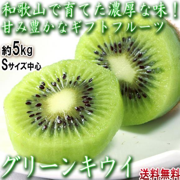 キウイフルーツ 小玉 約5kg Sサイズ中心 和歌山県産 個人農家産 濃厚な甘酸っぱさと豊富な栄養！02