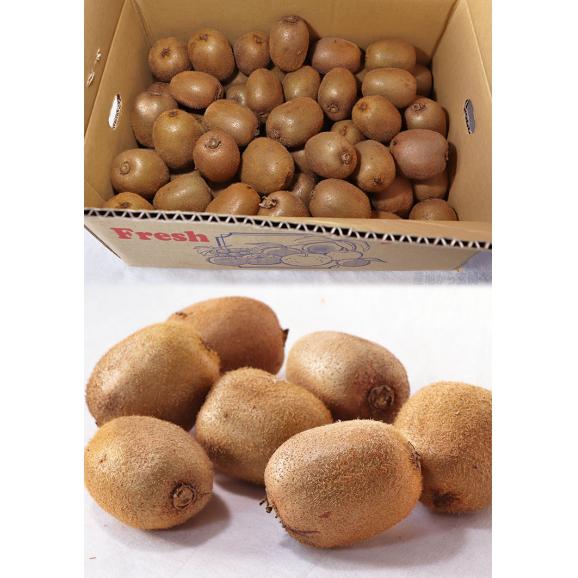 キウイフルーツ 小玉 約5kg Sサイズ中心 和歌山県産 個人農家産 濃厚な甘酸っぱさと豊富な栄養！03