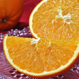 国産ネーブル 約10kg L～3Lサイズ 熊本県産 個人農家産中心 甘い香りと抜群の味！種無しの果肉に濃厚な果汁