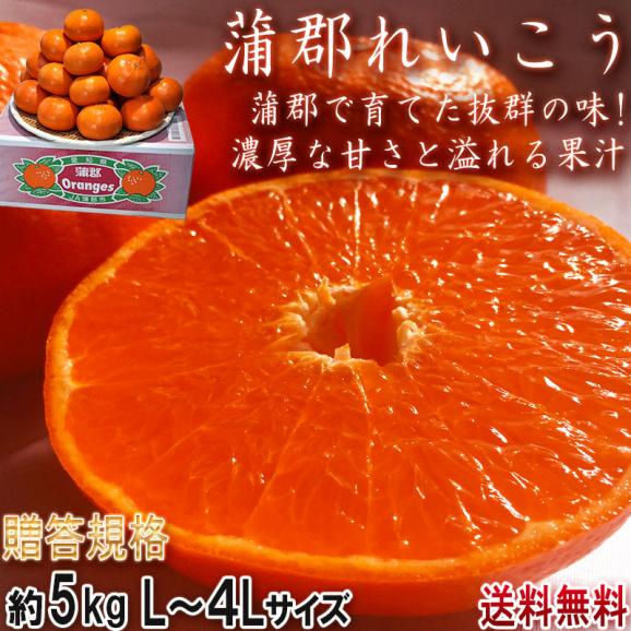蒲郡れいこう 麗紅タンゴール 約5kg L～4Lサイズ 愛知県産 贈答規格 JA蒲郡市にて厳選した高級柑橘！高い糖度と美しい果皮のギフトフルーツ02