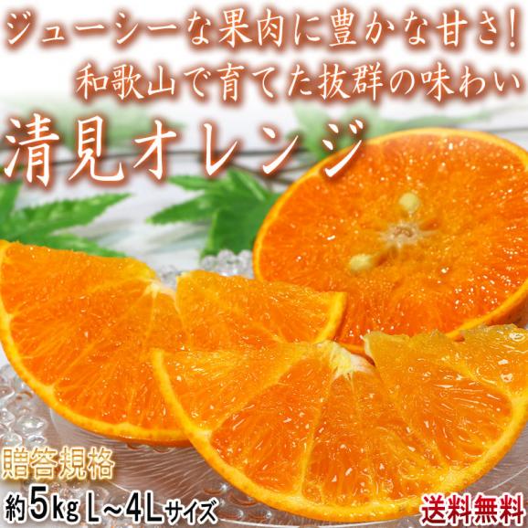 清見オレンジ 約5kg L~4Lサイズ 和歌山県産 JA紀の里 秀~優品 ジューシーな食感と甘さの人気品種02