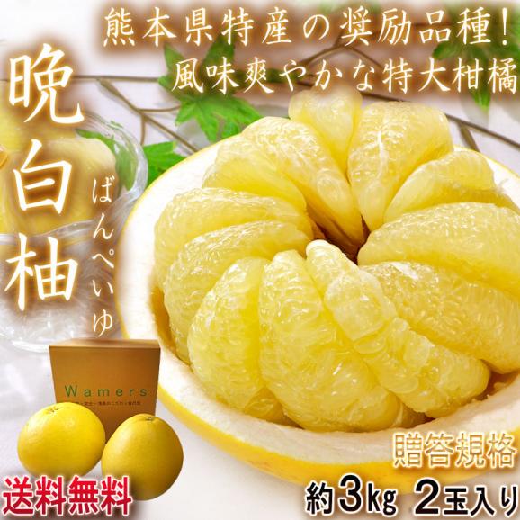 晩白柚 ばんぺいゆ 約3kg 2玉 熊本県産 贈答規格 JA共撰品中心 柑橘最大級の大きさと上品な味の特産品！02