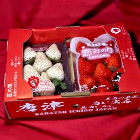 送料無料 九州で育てた人気のイチゴをセットでお届け！