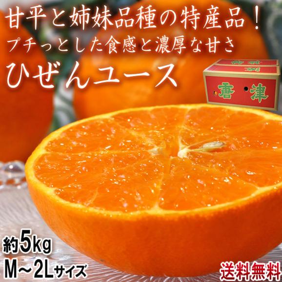 ひぜんユース 約5kg M～2Lサイズ 佐賀県産 にじゅうまるの規格外品！プチっとした食感に濃厚な味と甘さ02