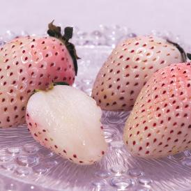 パールホワイト 白いちご 約200g×2パック 佐賀県産 贈答規格 真っ白な果肉にジューシーな食感と優しい甘さ！希少品種のギフト苺
