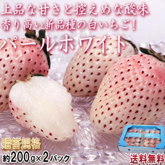 パールホワイト 白いちご 約200g&times;2パック 佐賀県産 贈答規格 真っ白な果肉にジューシーな食感と優しい甘さ！希少品種のギフト苺02