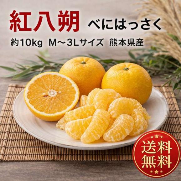 紅八朔 べにはっさく 約10kg M～3Lサイズ 熊本県産 上品な甘さとほろ苦さで昔ながらの味わい！02