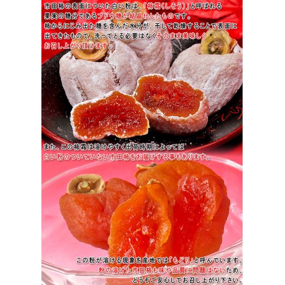 市田柿 干し柿 計400g以上 贈答規格 長野県産 2パック みなみ信州特産品 地域ブランド認定の高品質なほしがき!深い甘みともっちりとした食感03