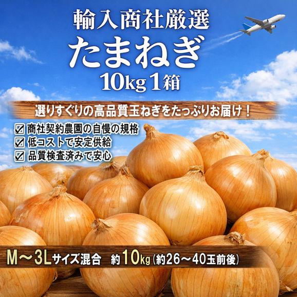海外産玉ねぎ 大容量たまねぎ 約10kg M〜3Lサイズ インド・北米・中国産中心 お求めやすい価格で大容量!様々な料理に使えるお得なタマネギ02