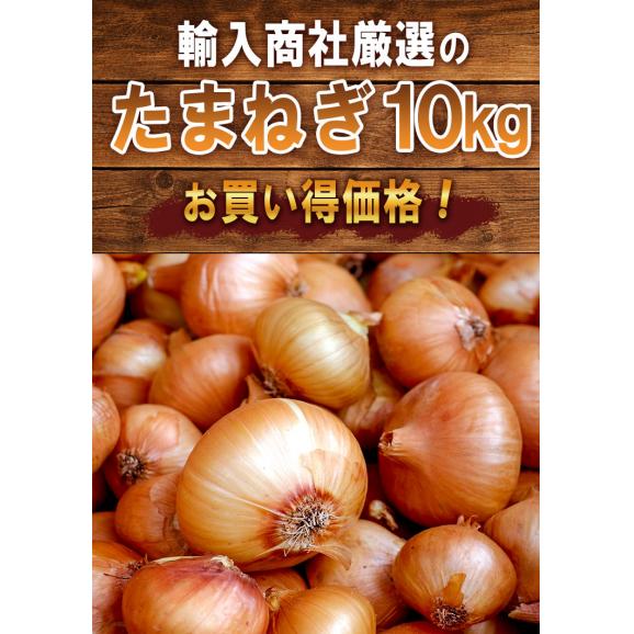 海外産玉ねぎ 大容量たまねぎ 約10kg M〜3Lサイズ インド・北米・中国産中心 お求めやすい価格で大容量!様々な料理に使えるお得なタマネギ03