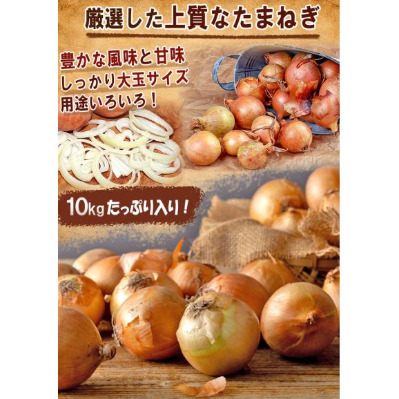 海外産玉ねぎ 大容量たまねぎ 約10kg M〜3Lサイズ インド・北米・中国産中心 お求めやすい価格で大容量!様々な料理に使えるお得なタマネギ04