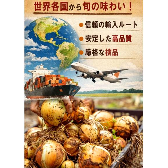 海外産玉ねぎ 大容量たまねぎ 約10kg M〜3Lサイズ インド・北米・中国産中心 お求めやすい価格で大容量!様々な料理に使えるお得なタマネギ05