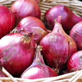 海外産赤たまねぎ アーリーレッド中心 大容量タマネギ 約10kg M～3Lサイズ インド・北米・中国産中心 彩り豊かな海外産のレッドオニオン！お求めやすい価格の玉ねぎ