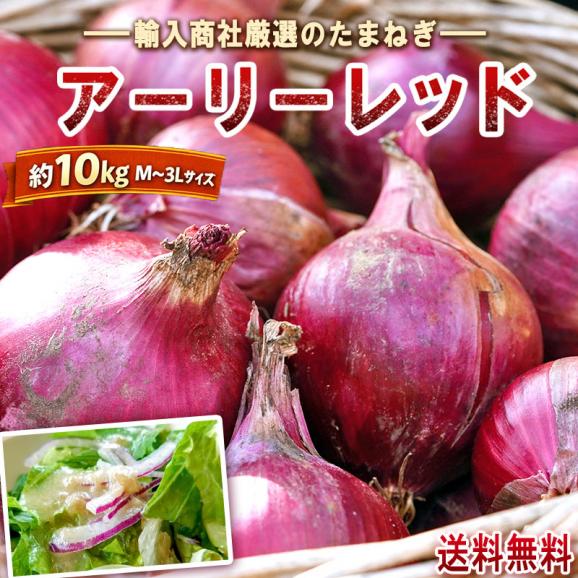 海外産赤たまねぎ アーリーレッド中心 大容量タマネギ 約10kg M~3Lサイズ インド・北米・中国産中心 彩り豊かな海外産のレッドオニオン!お求めやすい価格の玉ねぎ02