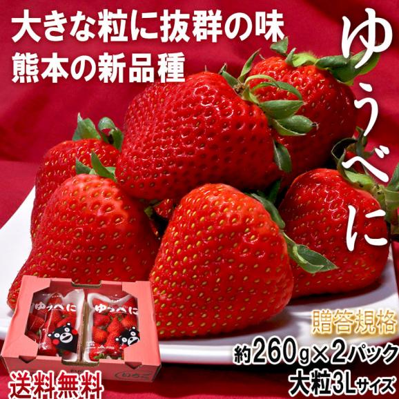 ゆうべに 大粒いちご 約260g×2パック 3Lサイズ限定 JA共撰品 熊本県産 贈答規格 ギフトにおすすめの新品種イチゴ!02