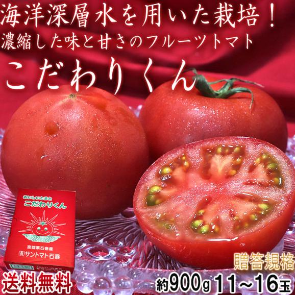 こだわりくん フルーツトマト 約900g 11～16玉 宮城県産 贈答規格 サントマト石巻 海洋深層水で育てたこだわり栽培！02