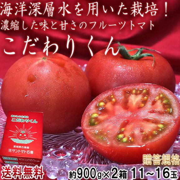 こだわりくん フルーツトマト 約900g&times;2箱 22～32玉 宮城県産 贈答規格 サントマト石巻 海洋深層水で育てたこだわり栽培！02