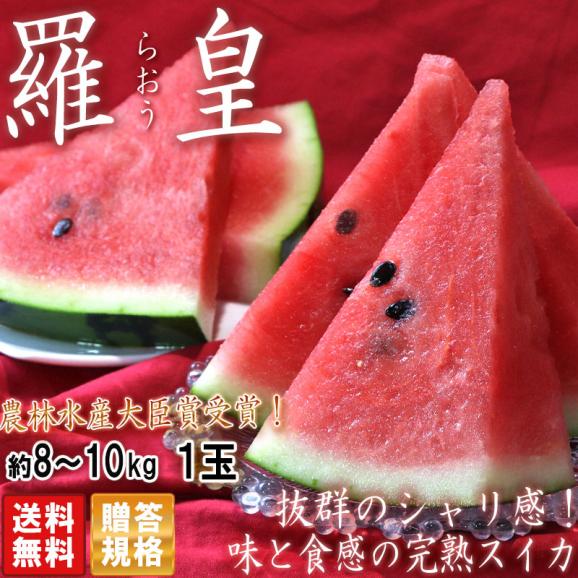 羅皇 らおう 完熟スイカ 約8~10kg 4Lサイズ中心 1玉入り 熊本県産 贈答規格 農林水産大臣賞受賞の赤肉西瓜!溢れる甘さとシャリ感02