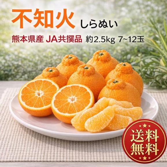 不知火 JAくまもと 約2.5kg 7〜12玉 熊本県産 贈答規格 しらぬい 濃厚な甘さと程よい酸味の人気品種！本場で育てた抜群の味02