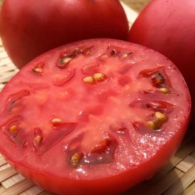 塩トマト 高糖度フルーツトマト 約1.2～1.5kg 26～34玉 熊本県産 贈答規格 小玉中心 トマトの生産量日本一の熊本県特産トマト！