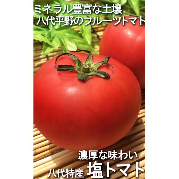 塩トマト 高糖度フルーツトマト 約1.2～1.5kg 26～34玉 熊本県産 贈答規格 小玉中心 トマトの生産量日本一の熊本県特産トマト！03