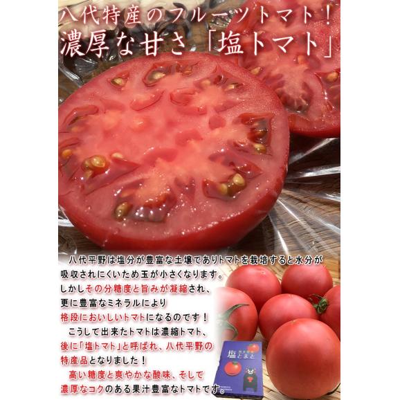 塩トマト 高糖度フルーツトマト 約1.2～1.5kg 26～34玉 熊本県産 贈答規格 小玉中心 トマトの生産量日本一の熊本県特産トマト！04
