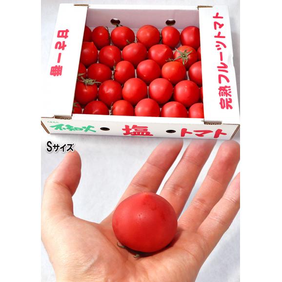 塩トマト 高糖度フルーツトマト 約1.2～1.5kg 26～34玉 熊本県産 贈答規格 小玉中心 トマトの生産量日本一の熊本県特産トマト！05