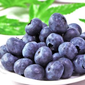 完熟ブルーベリー 約100g×4パック L〜3Lサイズ 静岡県産中心 贈答規格 旬の産地で育てた甘み豊かな国産ブルーベリーをお届け！