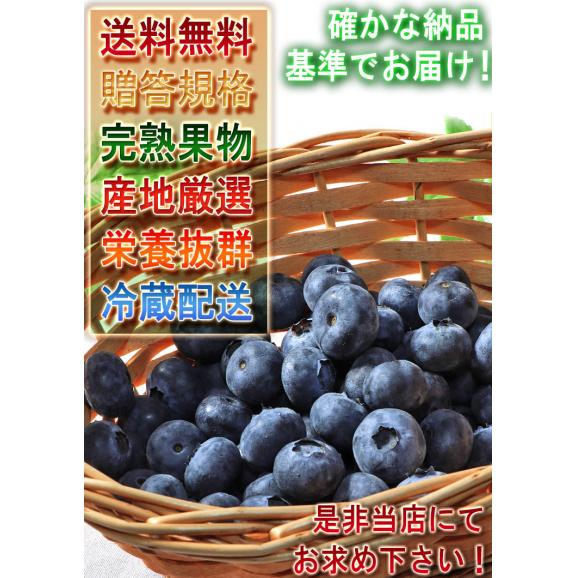 完熟ブルーベリー 約100g&times;4パック L〜3Lサイズ 静岡県産中心 贈答規格 旬の産地で育てた甘み豊かな国産ブルーベリーをお届け！04
