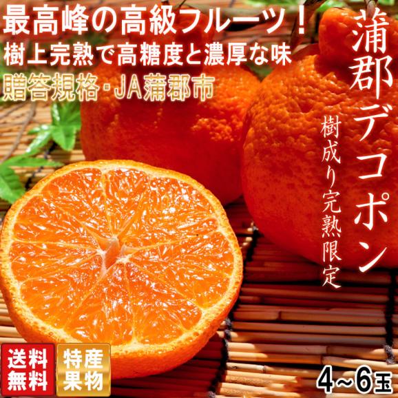 樹上完熟 蒲郡デコポン 4～6玉 愛知県産 贈答品 JA蒲郡市 糖度13度保証！樹成り熟成で更に美味しい高級フルーツ02