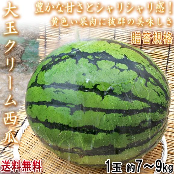 大玉クリームスイカ 約7～9kg 1玉 千葉県産 贈答規格  希少品種 成田・富里を始めとした抜群の味とシャリシャリ感！ 割れて届いた時の返品交換対応有り02