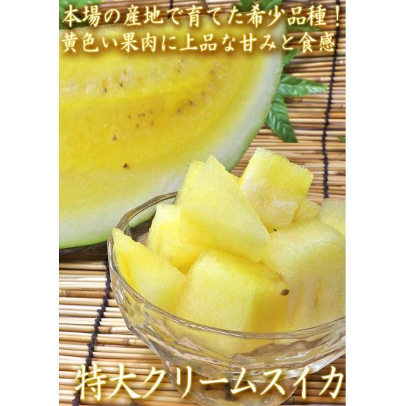 大玉クリームスイカ 約7～9kg 1玉 千葉県産 贈答規格  希少品種 成田・富里を始めとした抜群の味とシャリシャリ感！ 割れて届いた時の返品交換対応有り03