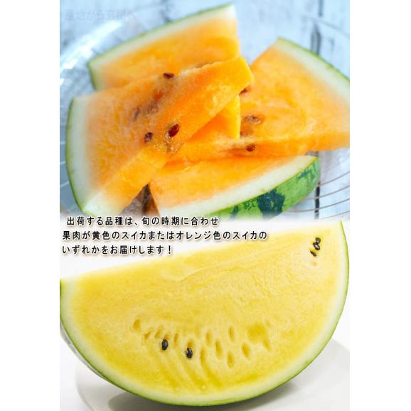 大玉クリームスイカ 約7～9kg 1玉 千葉県産 贈答規格  希少品種 成田・富里を始めとした抜群の味とシャリシャリ感！ 割れて届いた時の返品交換対応有り06