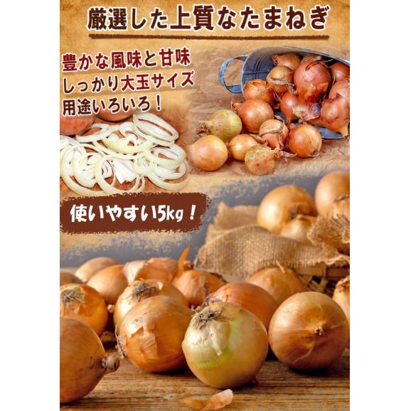 海外産玉ねぎ 大容量たまねぎ 約5kg M〜3Lサイズ インド・北米・中国産中心 お求めやすい価格で大容量!様々な料理に使えるお得なタマネギ02