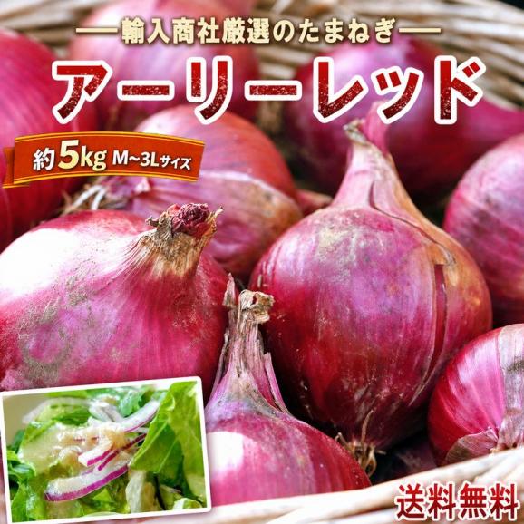 海外産赤たまねぎ アーリーレッド中心 大容量タマネギ 約5kg M~3Lサイズ インド・北米・中国産中心 彩り豊かな海外産のレッドオニオン!お求めやすい価格の玉ねぎ02