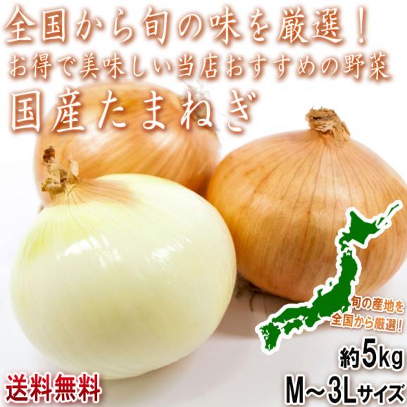 国産たまねぎ 約5kg M～3Lサイズ 北海道産中心 全国から旬の産地を厳選してお届け！本場で育てた野菜を大容量でお届け02