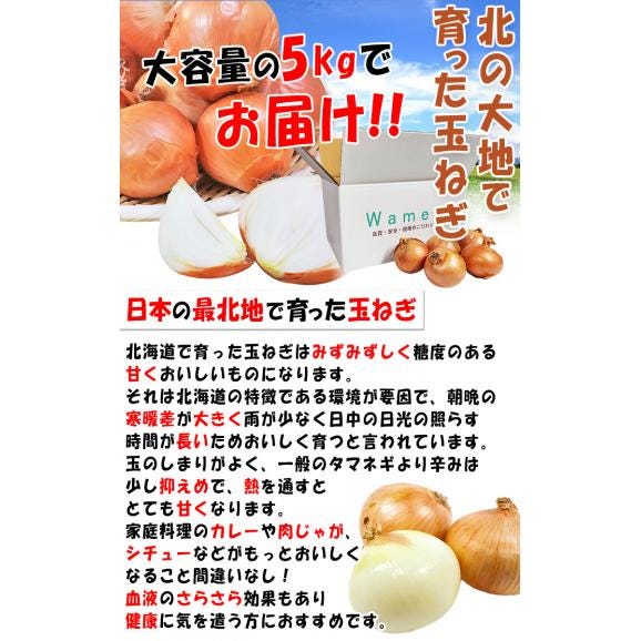国産たまねぎ 約5kg M～3Lサイズ 北海道産中心 全国から旬の産地を厳選してお届け！本場で育てた野菜を大容量でお届け03