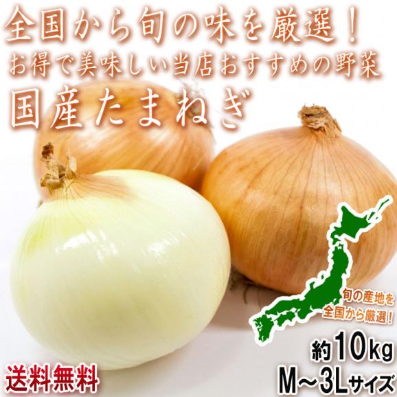 国産たまねぎ 約10kg M~3Lサイズ 北海道産中心 全国から旬の産地を厳選してお届け!本場で育てた野菜を大容量でお届け02