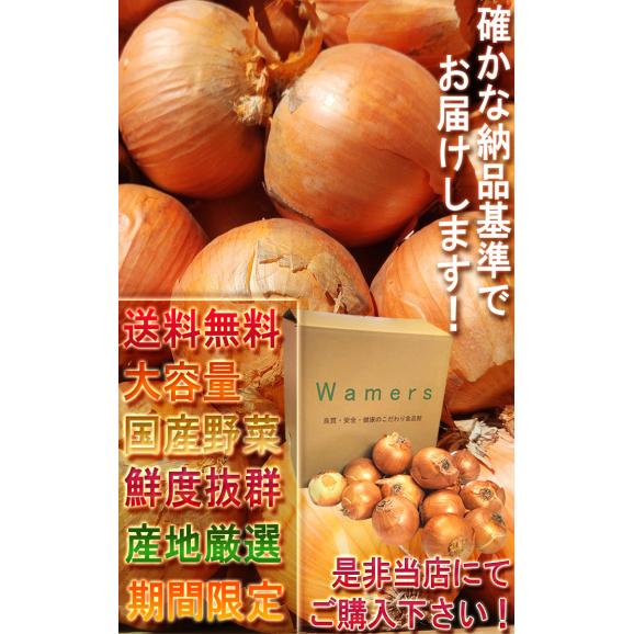 国産たまねぎ 約10kg M~3Lサイズ 北海道産中心 全国から旬の産地を厳選してお届け!本場で育てた野菜を大容量でお届け06
