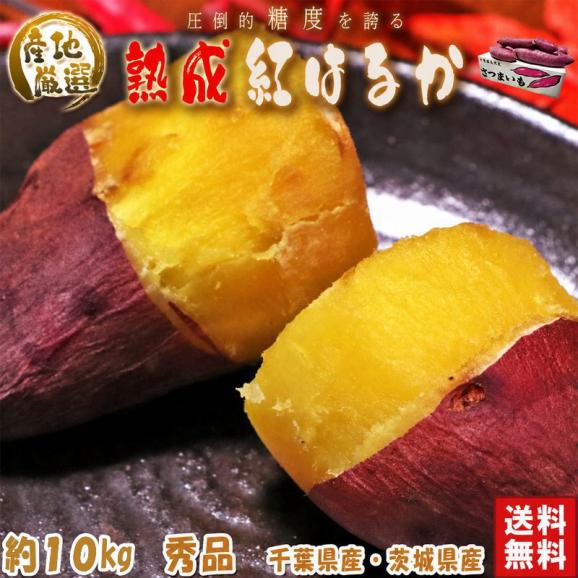【秀品】紅はるか 約10kg 千葉県・茨城県産 ダントツの甘さを誇る紅はるか! ギフトや贈答品にもオススメな見栄えの良い薩摩芋をお届け! さつまいも 02