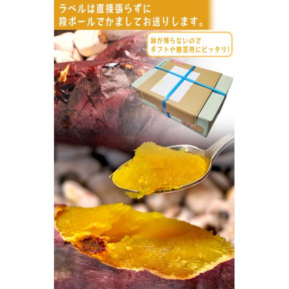 【秀品】紅はるか 約10kg 千葉県・茨城県産 ダントツの甘さを誇る紅はるか! ギフトや贈答品にもオススメな見栄えの良い薩摩芋をお届け! さつまいも 03