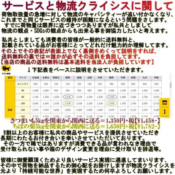 【秀品】紅はるか 約10kg 千葉県・茨城県産 ダントツの甘さを誇る紅はるか! ギフトや贈答品にもオススメな見栄えの良い薩摩芋をお届け! さつまいも 06