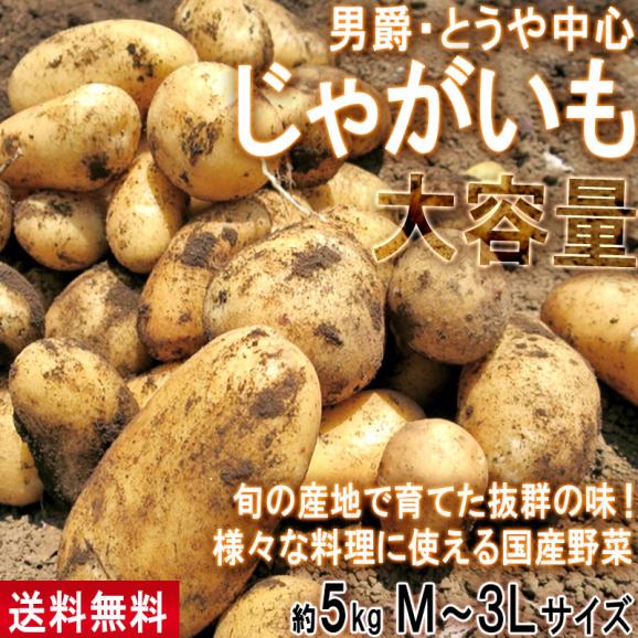 じゃがいも 男爵・とうや中心 約5kg M~3Lサイズ 千葉・茨城産中心 大容量 様々なお料理に使えるお得な国産野菜!出荷時期により旬の産地を厳選してお届け02