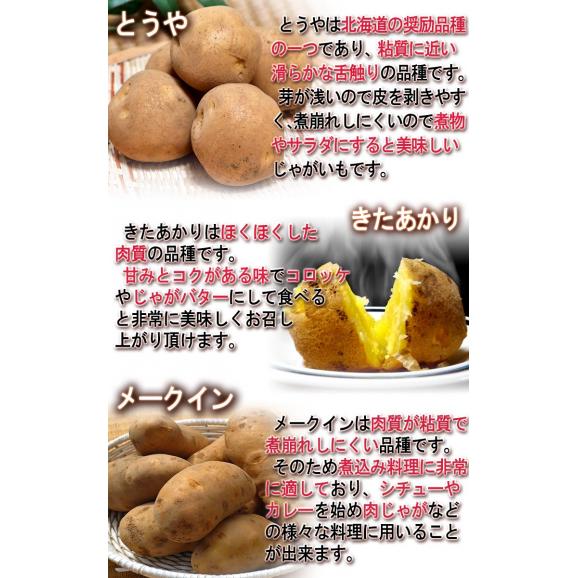 じゃがいも 男爵・とうや中心 約5kg M~3Lサイズ 千葉・茨城産中心 大容量 様々なお料理に使えるお得な国産野菜!出荷時期により旬の産地を厳選してお届け05