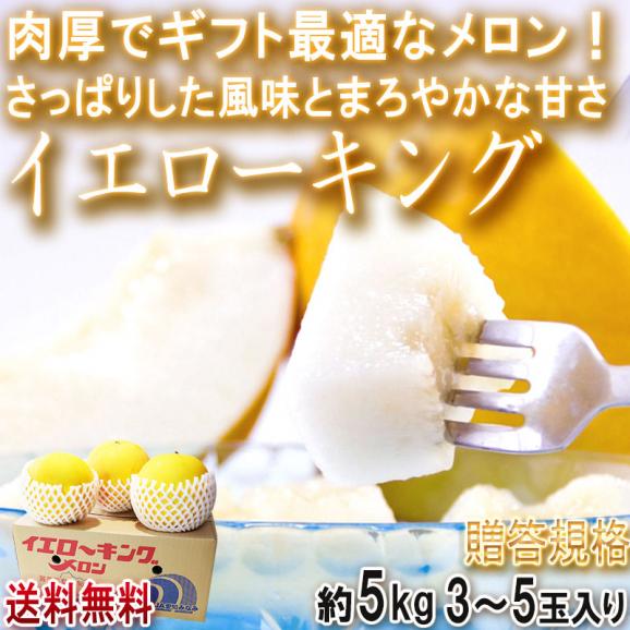 イエローキング 特大メロン 約5kg 3～5玉 贈答規格 愛知県産 さっぱりした風味とまろやかな甘さ！ギフト最適な高品質02