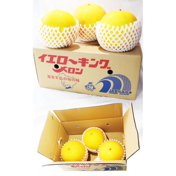 イエローキング 特大メロン 約5kg 3～5玉 贈答規格 愛知県産 さっぱりした風味とまろやかな甘さ！ギフト最適な高品質06