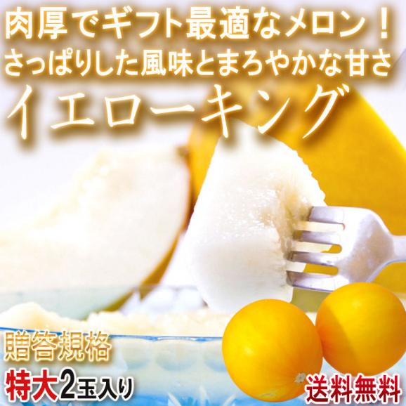 イエローキング 特大メロン 2玉入り 贈答規格 愛知県産 さっぱりした風味とまろやかな甘さ!ギフト最適な高品質02