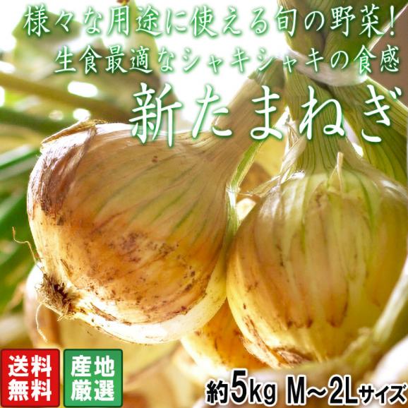 新たまねぎ 玉葱 約5kg M～2Lサイズ 佐賀県産中心 大容量のお得な国産野菜！新鮮な旬の味をお届け02